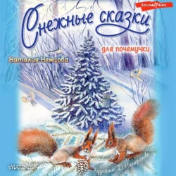 Стражи леса. Сказки для почемучки, аудиокнига Наталии Немцовой. ISDN67880078