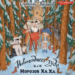 Прокопий Капитонов, аудиокнига Станислава Востокова. ISDN70416211