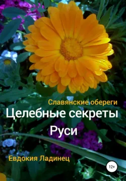 Славянские праздники, аудиокнига . ISDN63509172