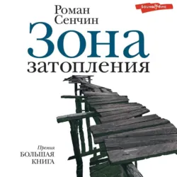 Елтышевы, аудиокнига . ISDN6037201