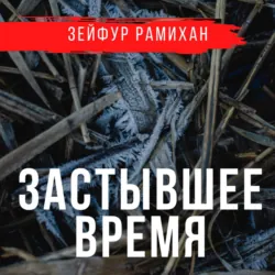 Цепи, аудиокнига . ISDN68343935