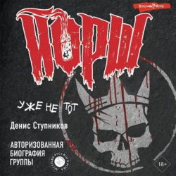 «ЙОРШ»: уже не тот. Авторизованная биография группы Денис Ступников