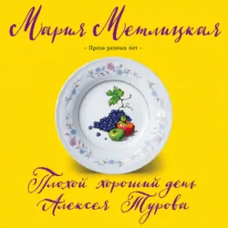 Плохой хороший день Алексея Турова - Мария Метлицкая