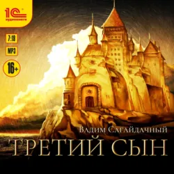 Третий сын. Стремительное падение, аудиокнига Вадима Сагайдачного. ISDN69190879