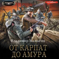Балтийский форпост, аудиокнига . ISDN71326522
