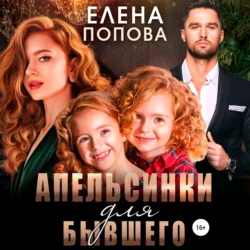 Идеальный развод, аудиокнига Елены Поповой. ISDN67993463