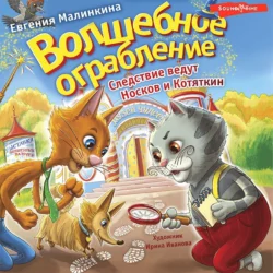 Волшебное ограбление. Следствие ведут Носков и Котяткин, аудиокнига Евгении Малинкиной. ISDN68486500