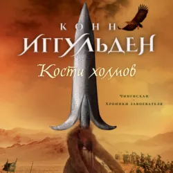 Волк равнин, аудиокнига . ISDN68016241