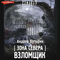 Зона Севера. Взломщик, аудиокнига Андрея Буторина. ISDN68613962