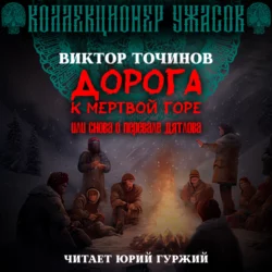 Дорога к Мертвой горе, или Снова о группе Дятлова, аудиокнига Виктора Точинова. ISDN68620618