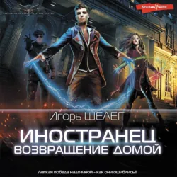 Иностранец. Возвращение домой, Игорь Шелег