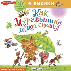 Как Муравьишка домой спешил, Виталий Бианки