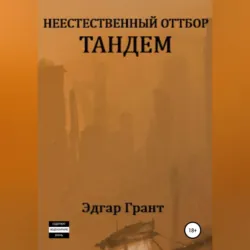 Сингулярность. Инкубатор счастья, аудиокнига . ISDN51980737