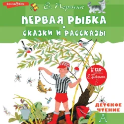 Хитрый коврик, аудиокнига . ISDN69718210