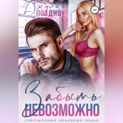 Попаданка-коммивояжер, или Любовь по лицензии, аудиокнига . ISDN68050726