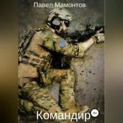 Командир - Павел Мамонтов