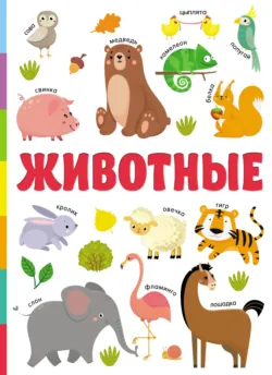Гимнастика. Развиваем координацию. 3-5 лет, аудиокнига . ISDN73799588