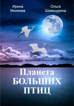 Планета Больших Птиц - Ольга Шамшурина