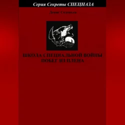 Все генералы Сталина. Артиллерия. Том 11, аудиокнига Дениса Юрьевича Соловьева. ISDN68501281