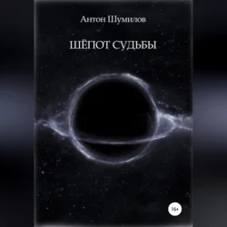 Цена спокойствия, аудиокнига Антона Шумилова. ISDN68727897