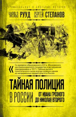 Последний викинг. «Ярость норманнов», аудиокнига . ISDN74058707