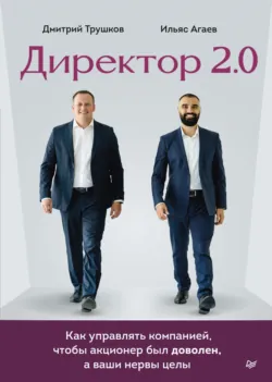 Директор 2.0. Как управлять компанией, чтобы акционер был доволен, а ваши нервы целы - Ильяс Агаев