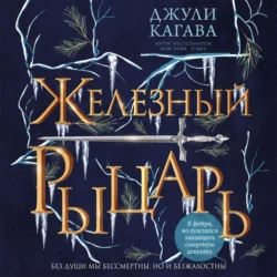 Железный рыцарь, аудиокнига . ISDN68795979