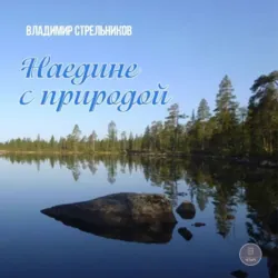 Сказки деда для внучат никого не огорчат, аудиокнига . ISDN72137527
