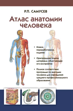 Атлас анатомии человека. Учебное пособие для студентов учреждений среднего профессионального образования, Рудольф Самусев