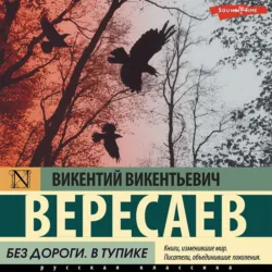 Без дороги. В тупике - Викентий Вересаев