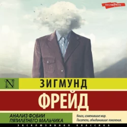 Анализ фобии пятилетнего мальчика - Зигмунд Фрейд Анализ фобии пятилетнего мальчика - Зигмунд Фрейд