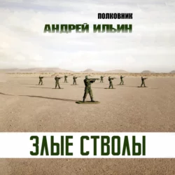 Злые стволы, аудиокнига Андрея Ильина. ISDN68851521