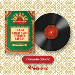 Тайны русских народных сказок. Красны сказки не письмом, а красны смыслом, аудиокнига . ISDN71349988