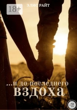 Второй шанс, аудиокнига Элис Райт. ISDN68875527