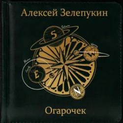Огарочек - Алексей Зелепукин
