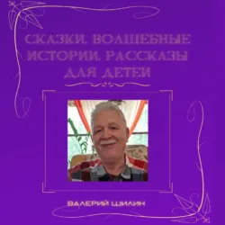 Сказки, волшебные истории, рассказы для детей - Валерий Шилин