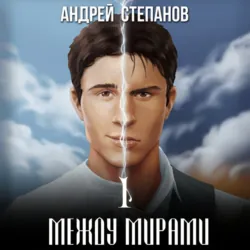 Между мирами. Том 1 - Андрей Степанов