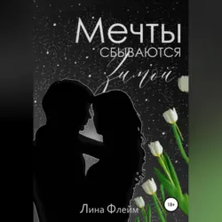 Мечты сбываются зимой, аудиокнига . ISDN64757586