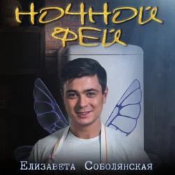 Ночной фей - Елизавета Соболянская Ночной фей - Елизавета Соболянская