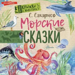 Сказки из дорожного чемодана, аудиокнига . ISDN71465356