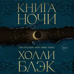 Книга Ночи - Холли Блэк