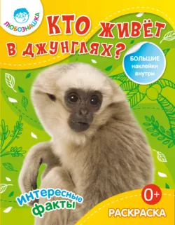 Кто живёт в джунглях? Интересные факты - Сборник