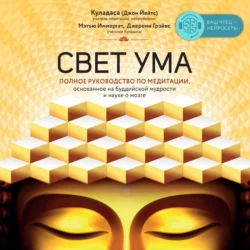 Свет ума. Подробный путеводитель по медитации, Джон Куладаса