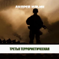 Третья террористическая, Андрей Ильин