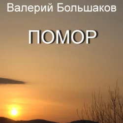 Помор, аудиокнига Валерия Петровича Большакова. ISDN69016876