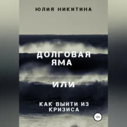 Долговая яма или Как выйти из кризиса, аудиокнига . ISDN63667962