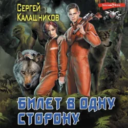 Билет в одну сторону - Сергей Калашников