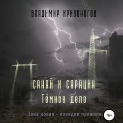 Санай и Сарацин, аудиокнига . ISDN73543286