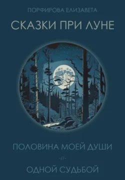 Сказки при луне. Часть первая, аудиокнига Елизаветы Порфировой. ISDN69179950