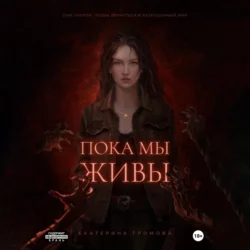Север внутри, аудиокнига . ISDN70793608